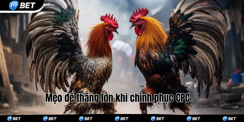 Mẹo để thắng lớn khi chinh phục CPC 