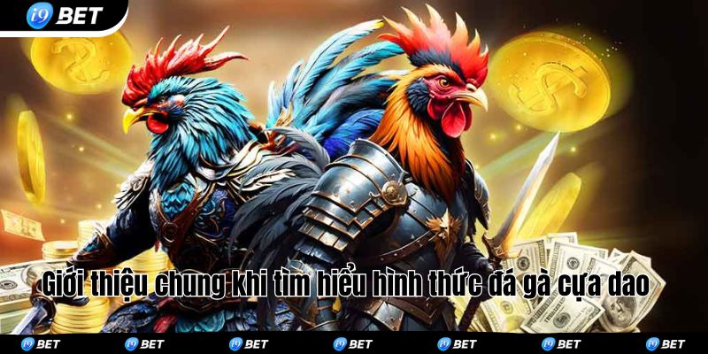 Giới thiệu chung khi tìm hiểu hình thức đá gà cựa dao 