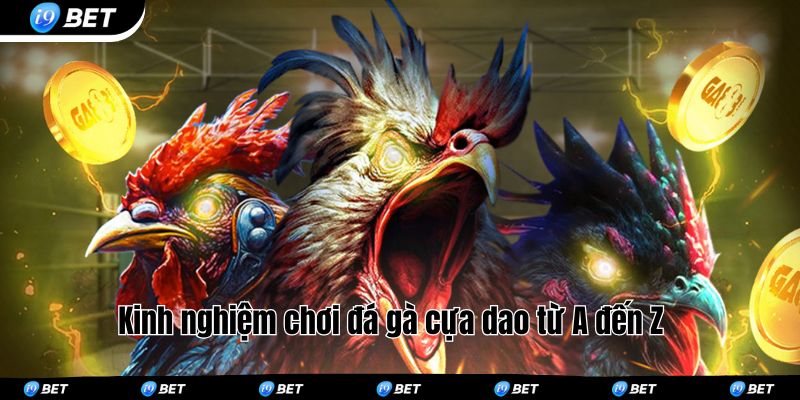 Kinh nghiệm chơi đá gà cựa dao từ A đến Z 