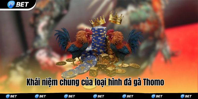 Khái niệm chung của loại hình đá gà Thomo 