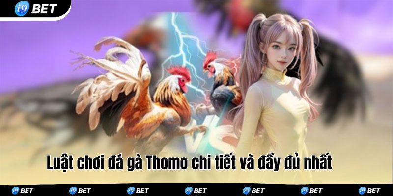 Luật chơi đá gà Thomo chi tiết và đầy đủ nhất 