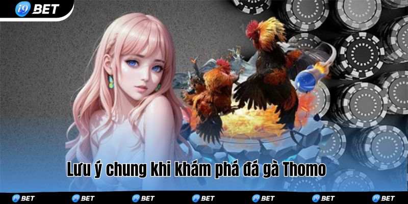 Lưu ý chung khi khám phá đá gà Thomo 